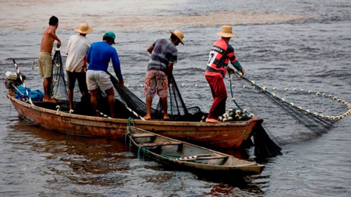 La normativa para el sector se analiza en la Asamblea Nacional.