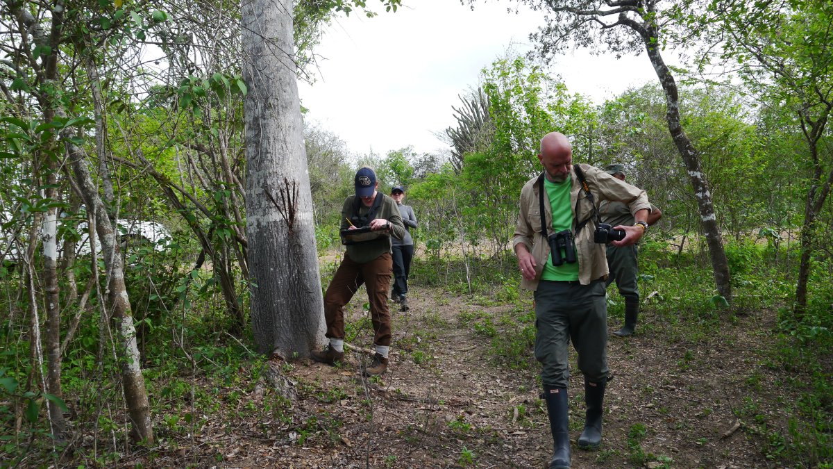 Guardabosques, en trabajos de exploración en el área del bosque protector Cerro Blanco.