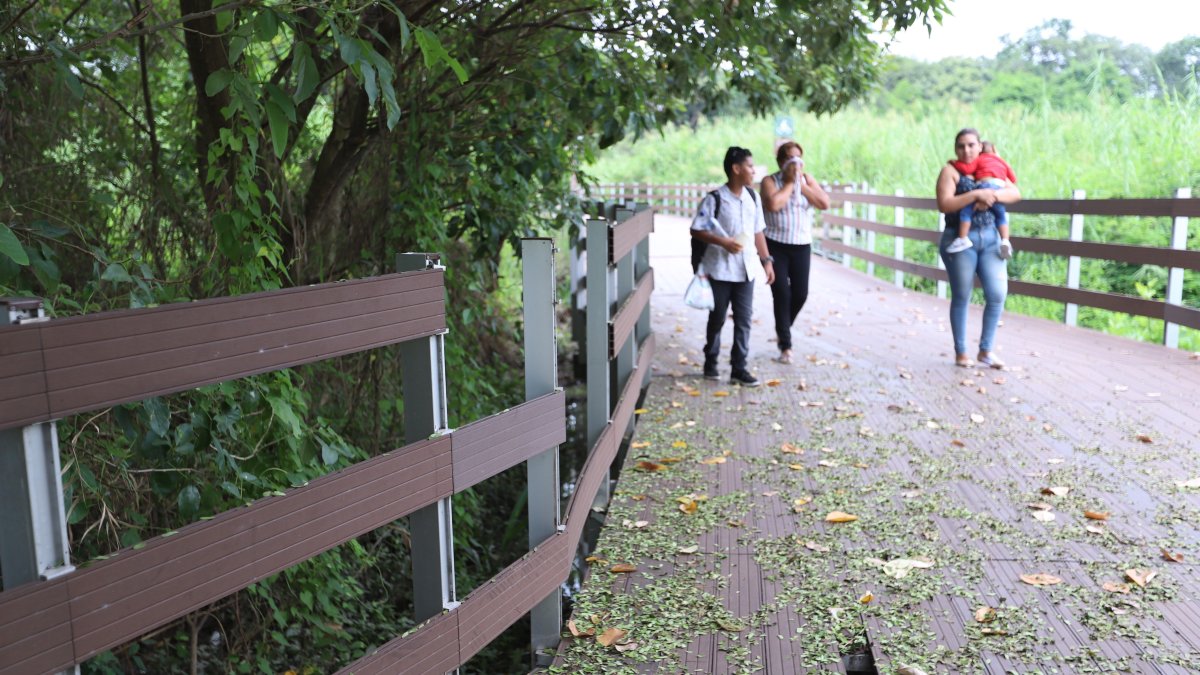 Las camineras del tramo que va desde Guayaquil a Santay tienen más de 350 huecos.