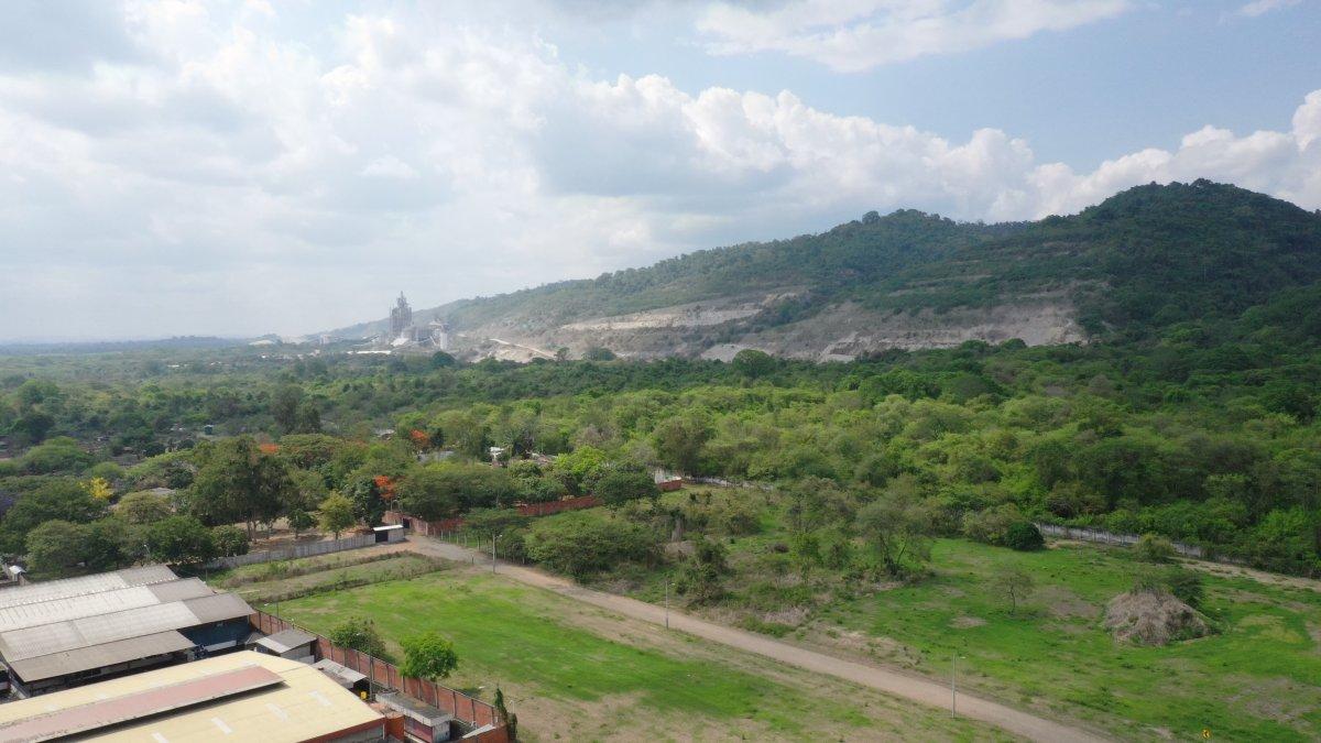 Cerro Blanco está administrado por la Fundación Pro-Bosque, una institución jurídica de derecho privado.