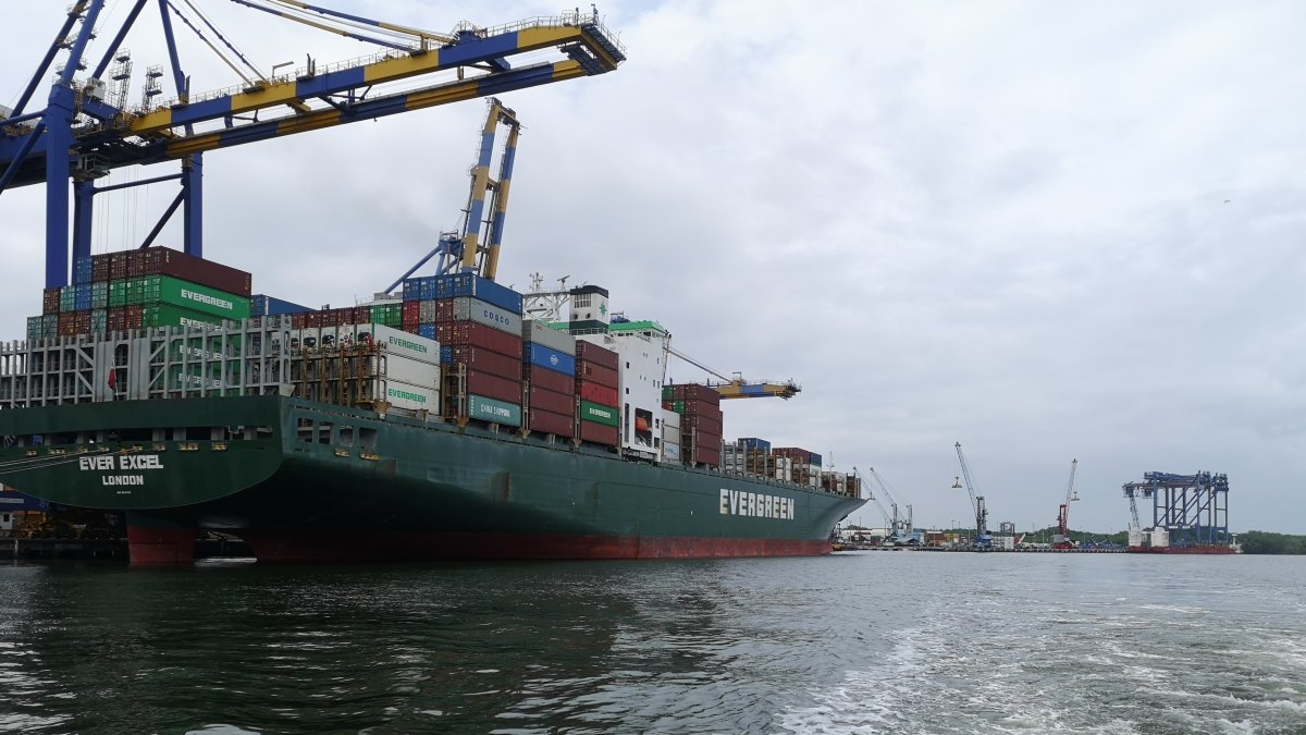 El producto ecuatoriano compite con dificultad en el mercado internacional, debido a su alto costo.