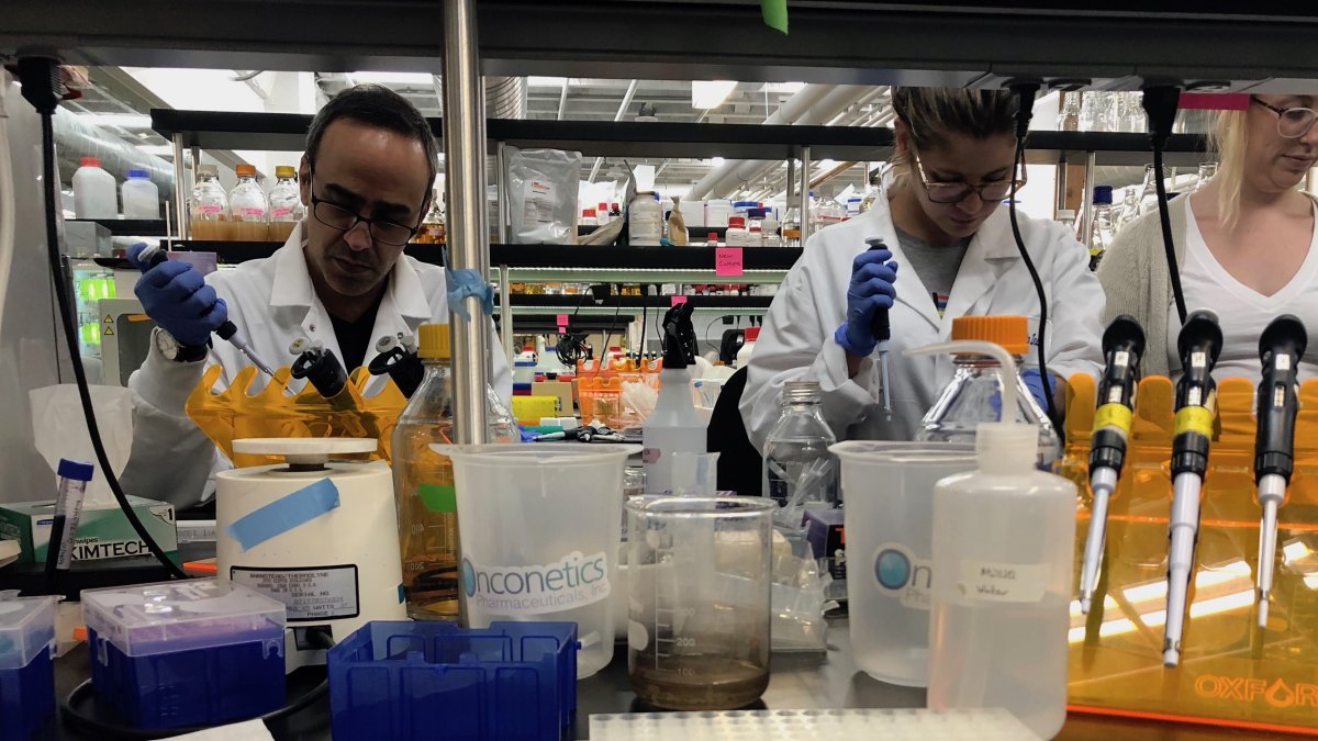 BUENOS AIRES.El equipo desarrollado por el proyecto argentino CASPR Biotech permitiría diagnosticar in situ y en menos de una hora la presencia o no del Coronavirus.