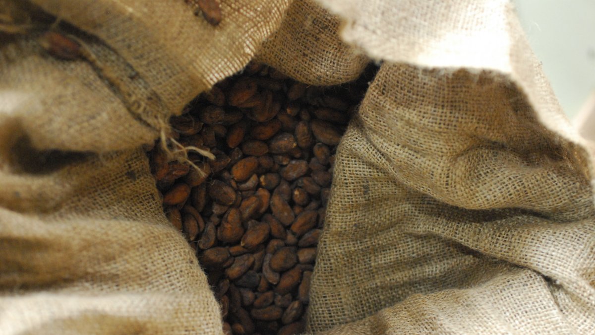 El cacao goza confianza en Ecuador.