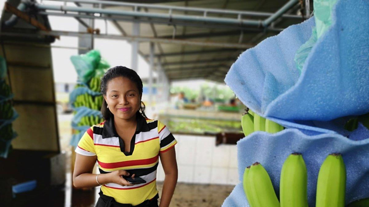 Imágenes captadas durante el trabajo diario en una de las haciendas del cantón Valencia, provincia de Los Ríos. En una empacadora ellas son la fortaleza.