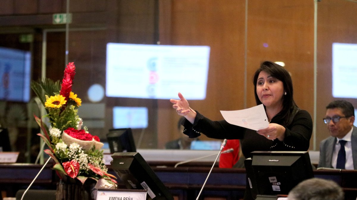 Ponente. La presidenta de la Comisión de Justicia, Ximena Peña, presentó las reformas el día de su cumpleaños, con su curul adornada de flores.