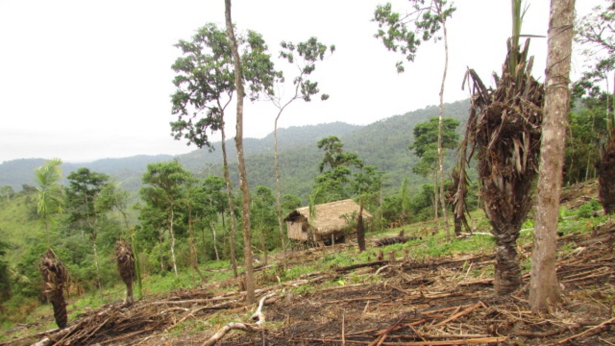 Hecho. La parte afectada permanece como se muestra en la gráfica.