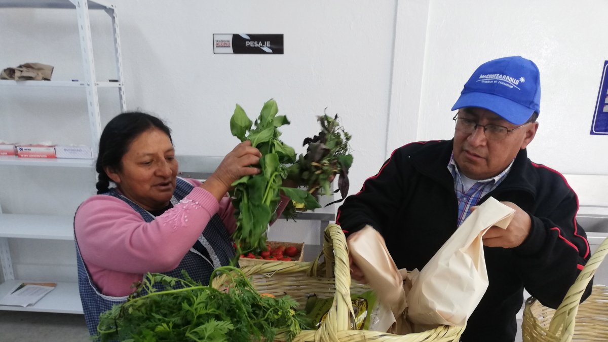 La canasta popular tiene un costo promedio de $ 15 y debe durar una semana.