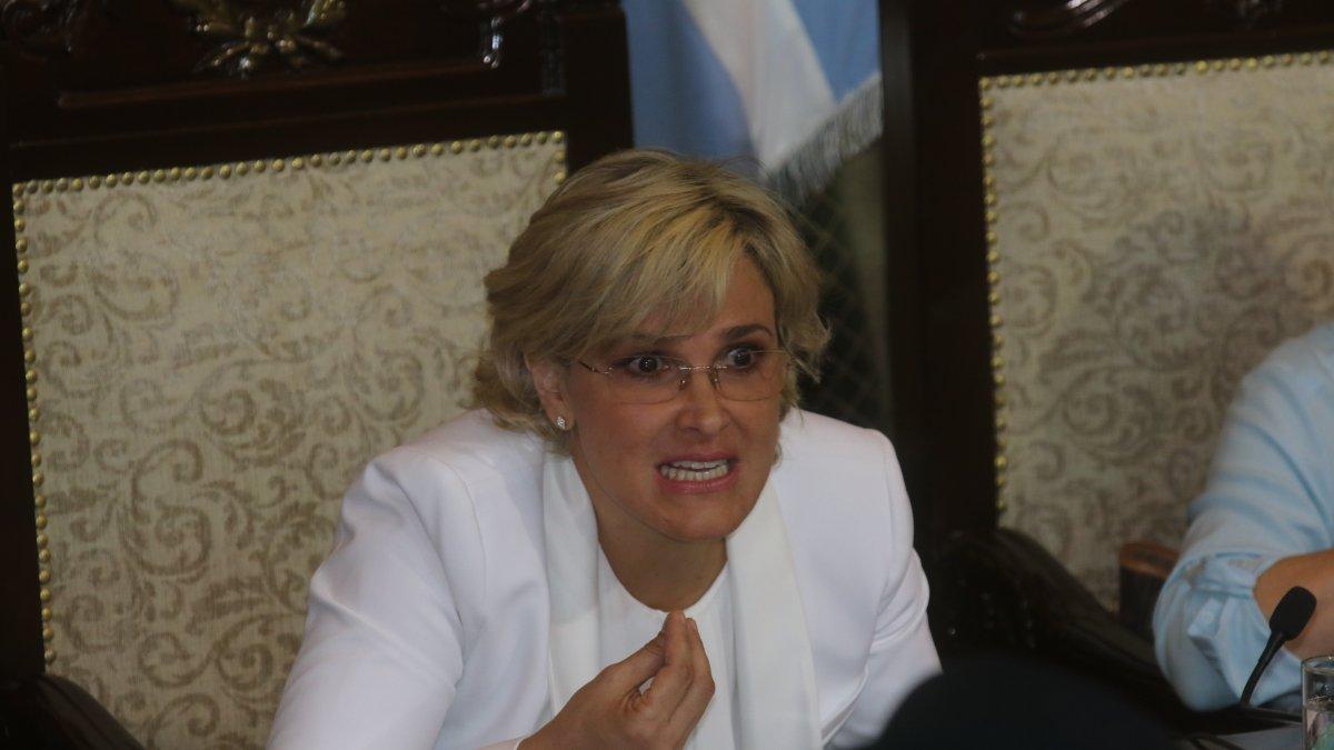 Cynthia Viteri en Sesión de Consejo en el cabildo porteño.



Agencia (ag-extra)
