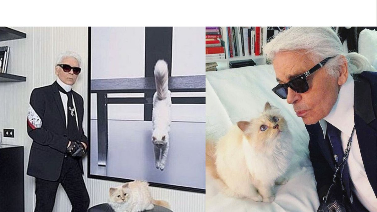 Diseñador de moda Karl Lagerfeld