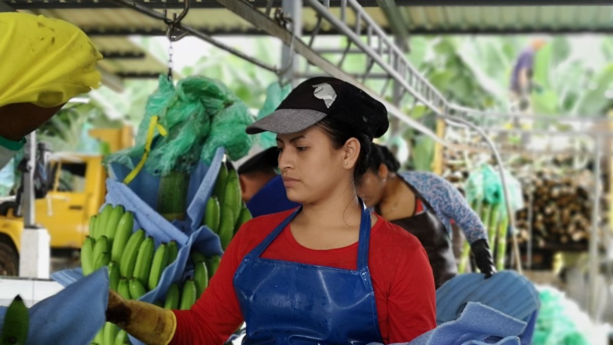 Preocupan las ventas a mercados tradicionales.