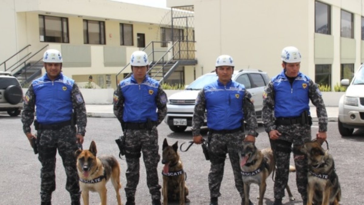 Trabajo. Los perros colaboraron en la institución durante ocho años.