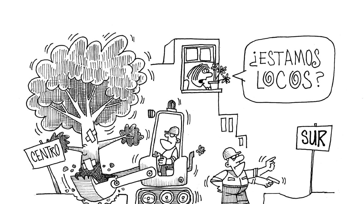 ...o ¿arborización de la política?