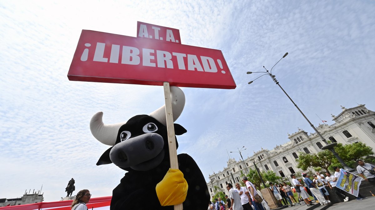 Activistas por los derechos de los animales se movilizaron por las calles de Lima, en los días previos al fallos del Tribunal Constitucional