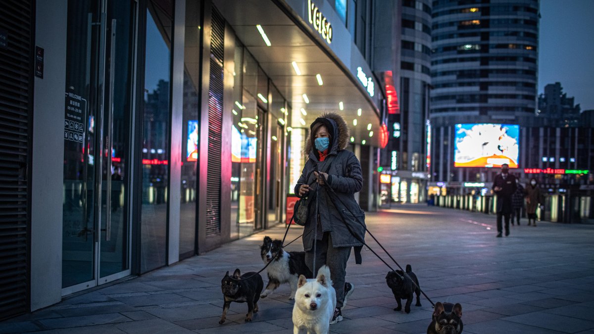 PEKÍN. Una mujer saca a pasear a sus perros. La OMS extiende una aclaración acerca de la propagación del virus relacionado con las mascotas.