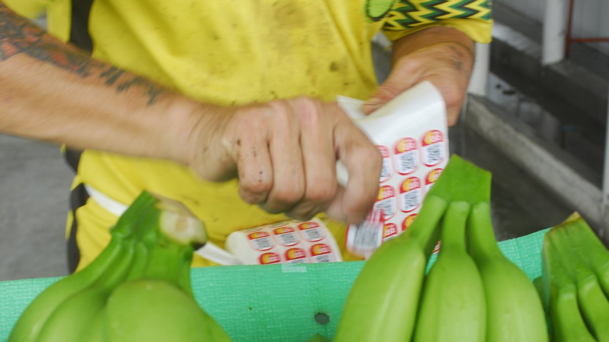 Mucha fruta podría quedarse en el país.