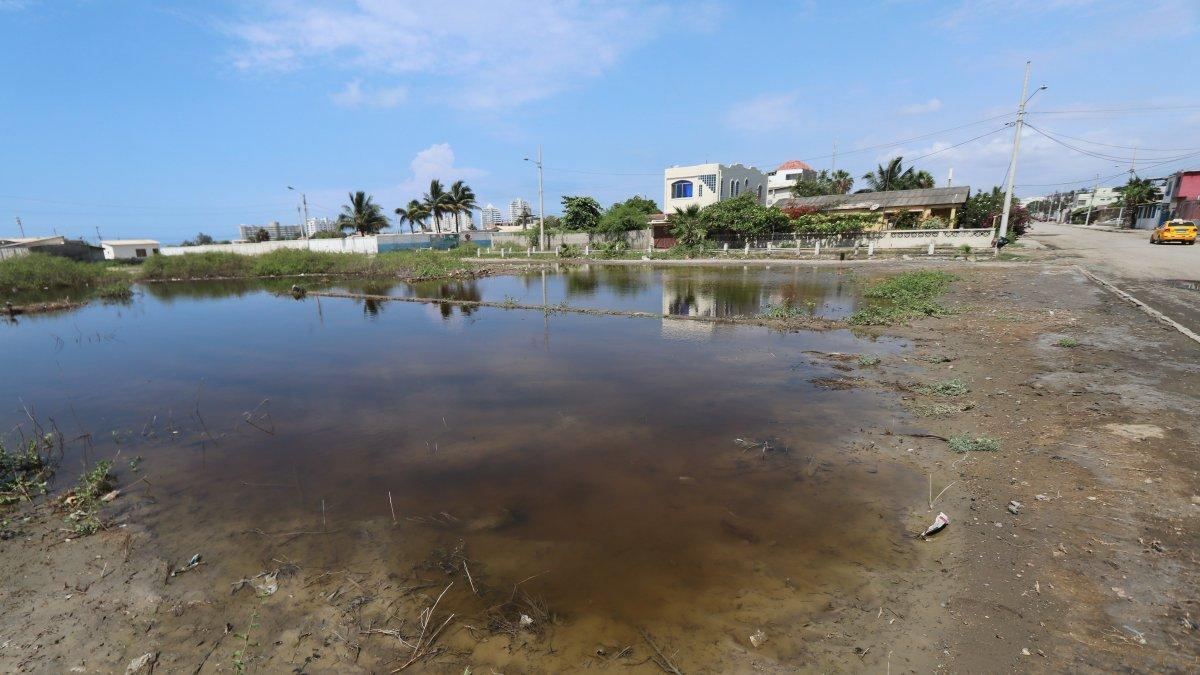 Salinas evidencia varios síntomas de insalubridad.
