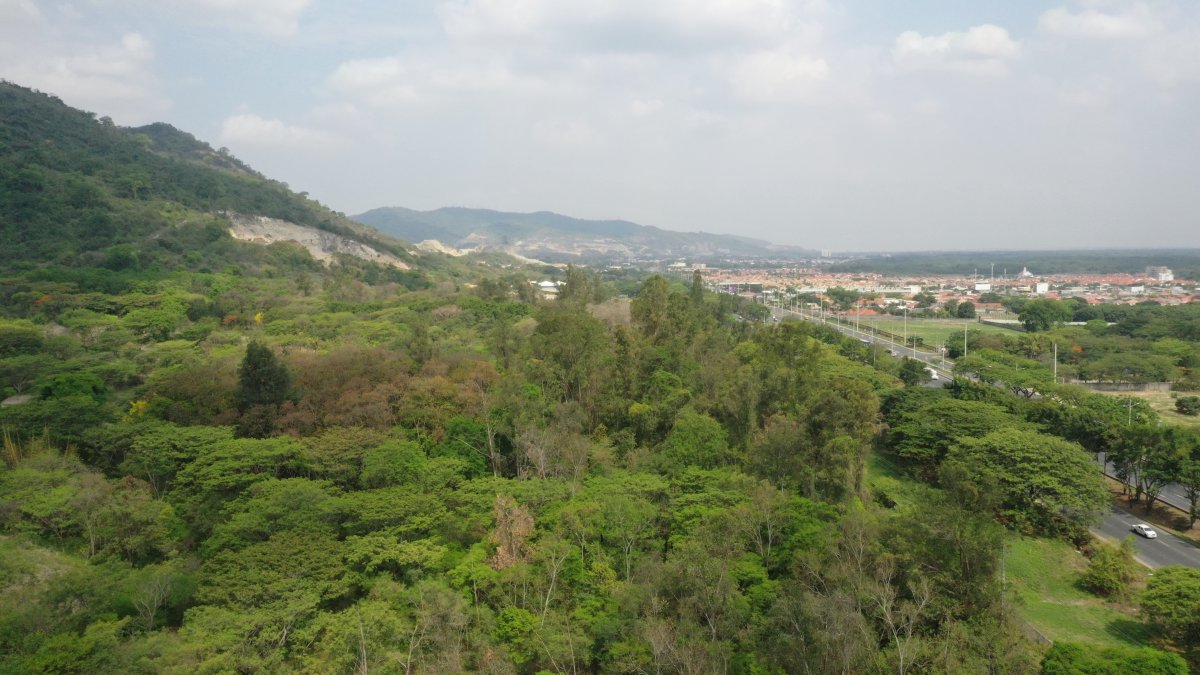 Zona. El Bosque Protector Cerro Blanco está ubicado en la vía a la costa.