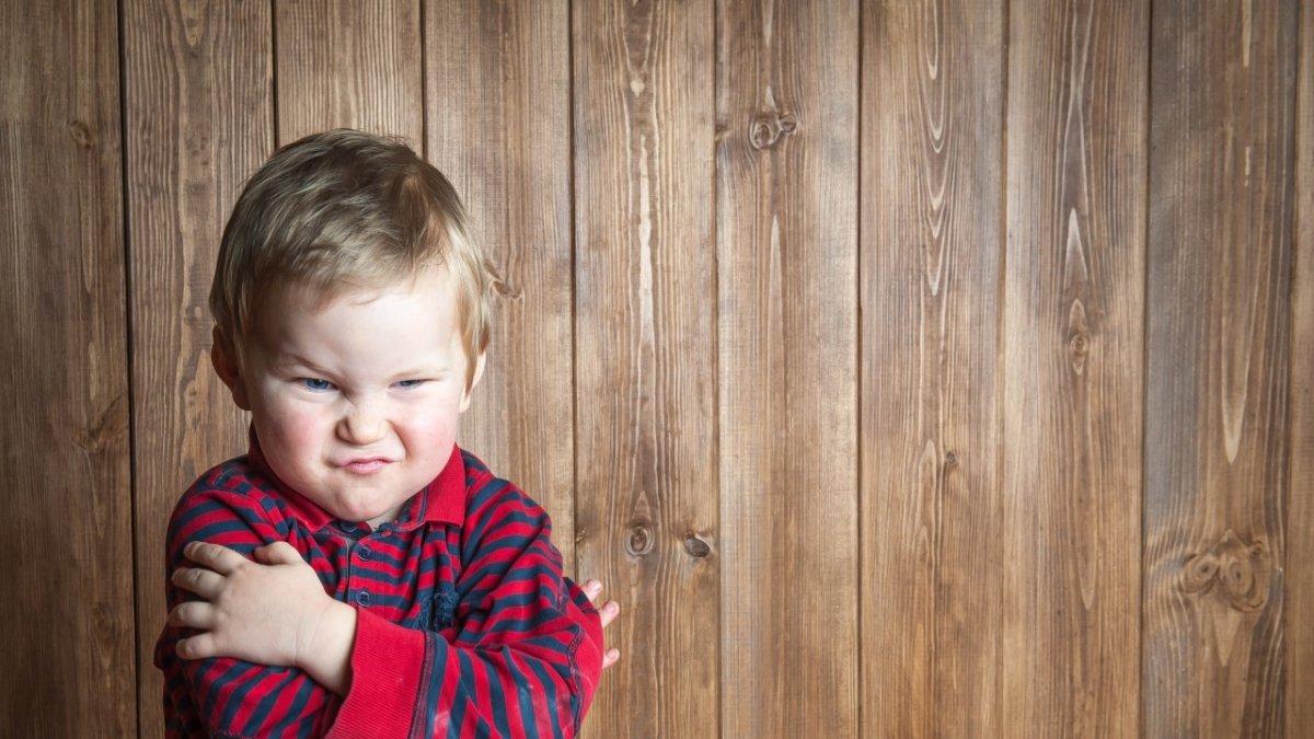 A partir de los 2 años empieza una nueva etapa, como en la adolescencia