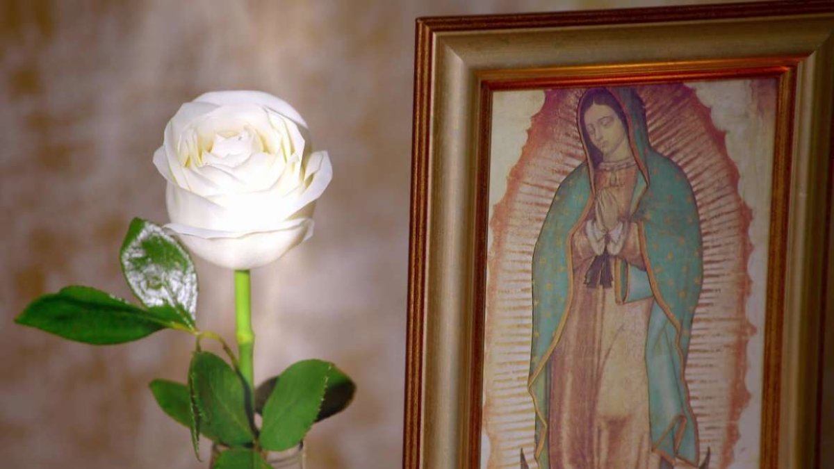 'La Rosa de Guadalupe' se exhibe hace 12 años.