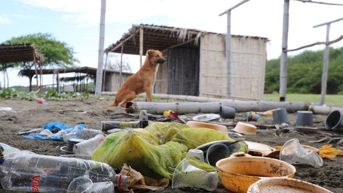 Afectaciones. En Puná, el paisaje permanece la mayor parte del tiempo igual que como se observa en la foto. Los animales, sobre todo perros y gallinazos, deambulan por el lugar sin horario.