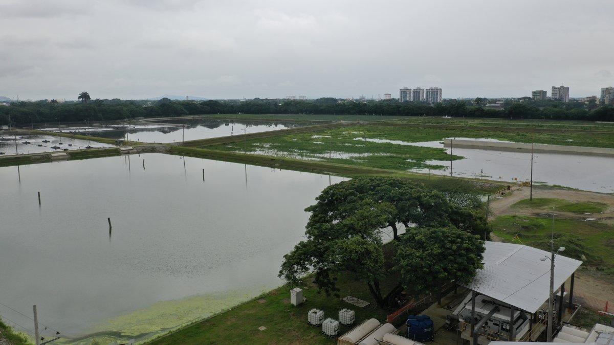Sistema. En los alrededores de las lagunas de oxidación aún se percibe malos olores.