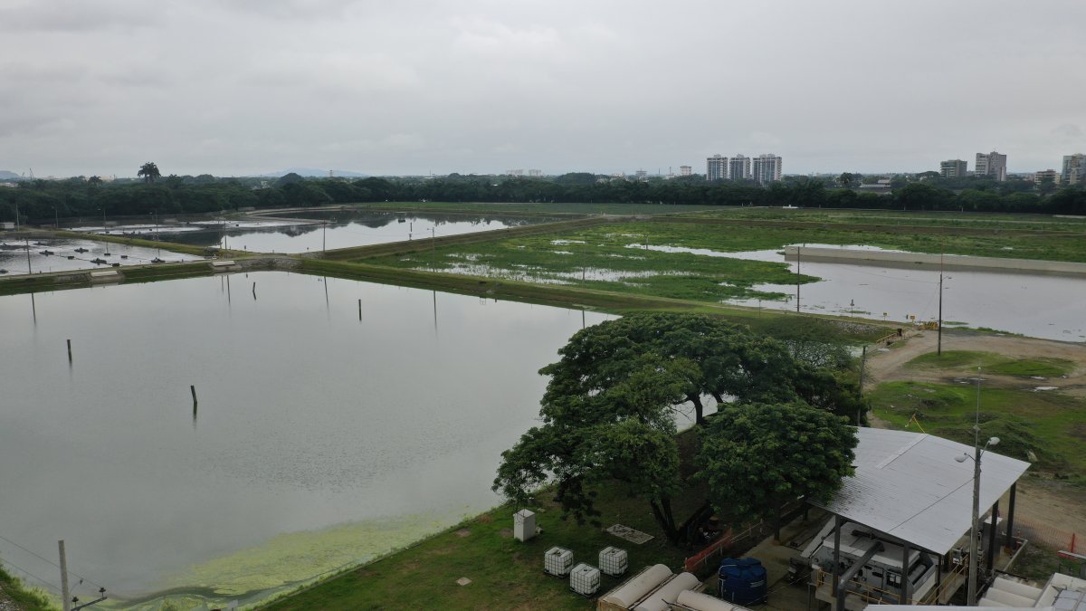 Las lagunas de oxidación son unas de las fuentes de los malos olores.