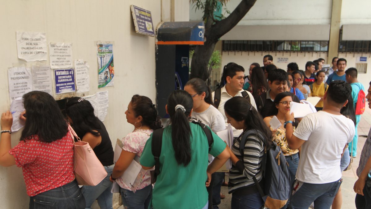 Un grupo de estudiantes de la Facultad de Ciencias Médicas se volcó a las ventanillas de la unidad académica en busca de un tutor para su proceso de titulación.