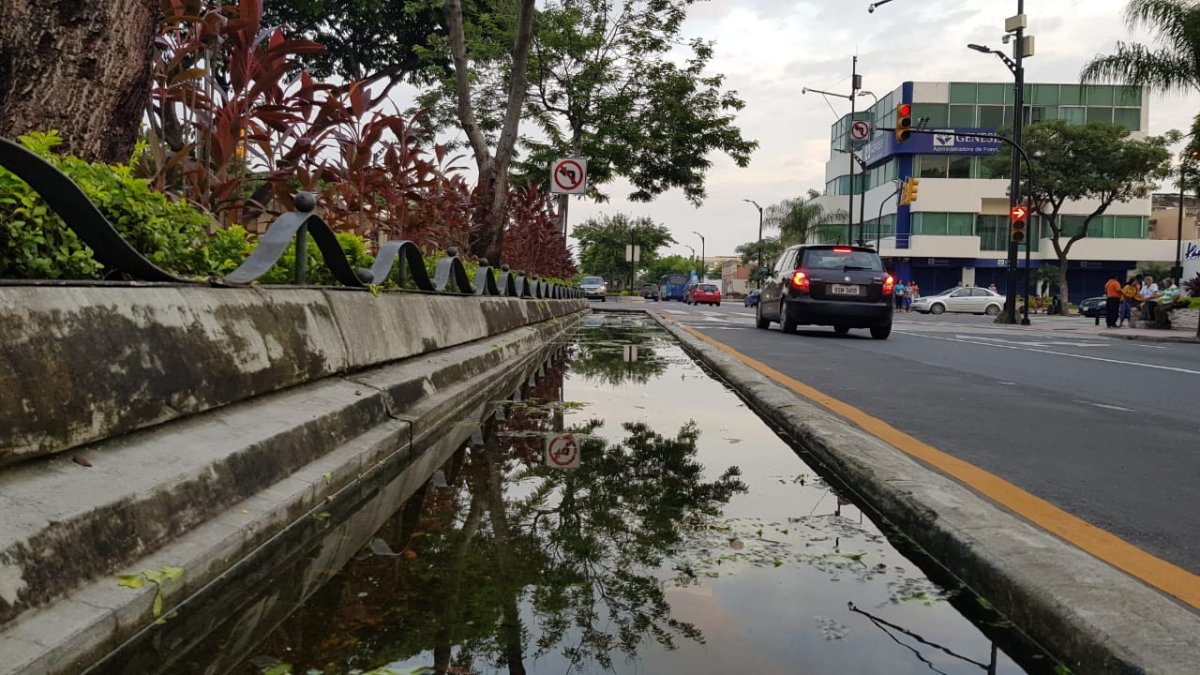Así luce la zanja ubicada en la avenida Víctor Emilio Estrada.