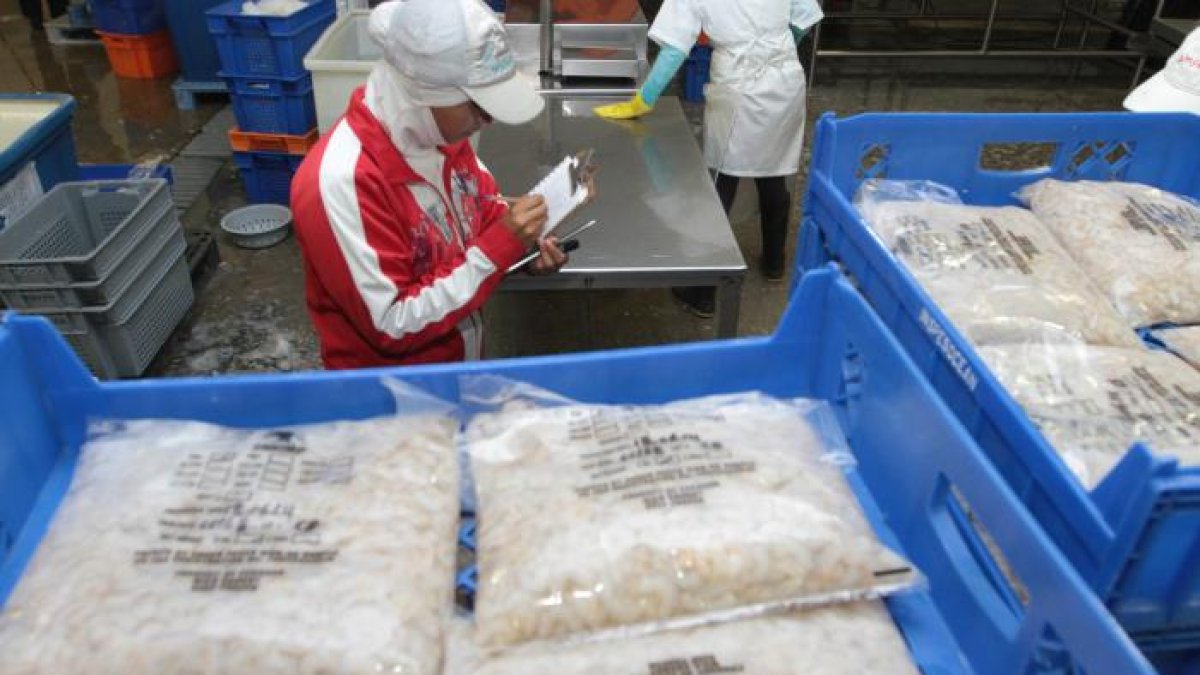 En el sector camaronero se teme por la pérdida de liquidez, ya afectada por una demanda internacional del producto.