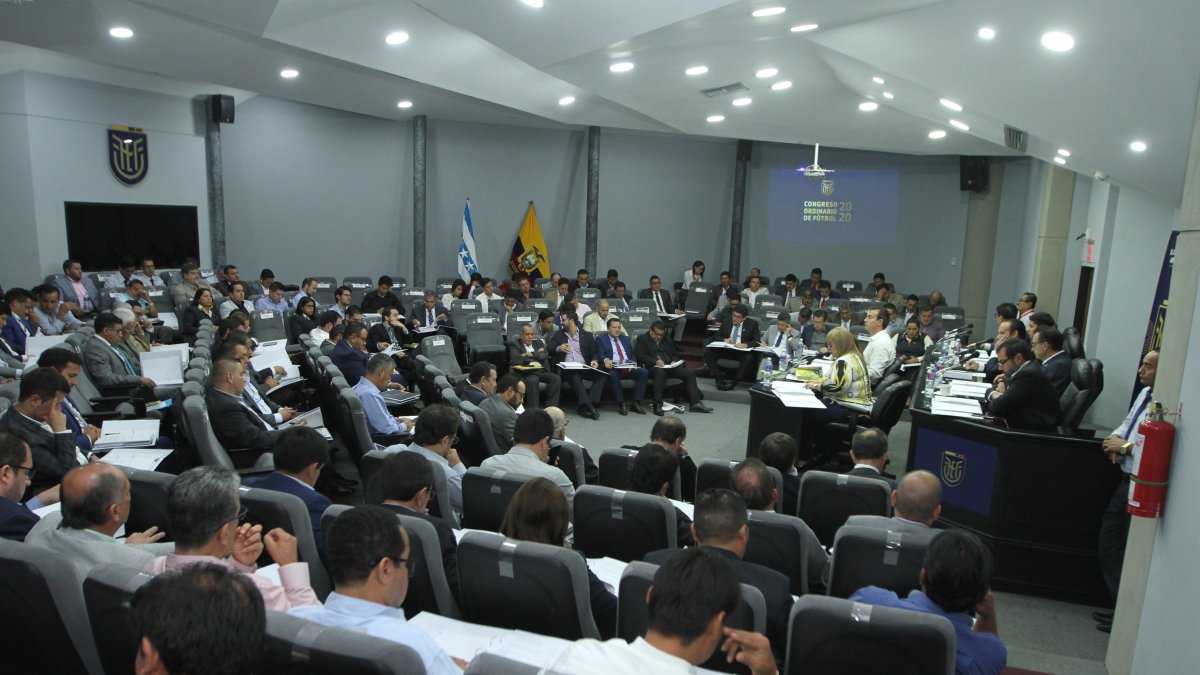 Los miembros del directorio de Ecuafútbol deberán buscar una solución al problema.
