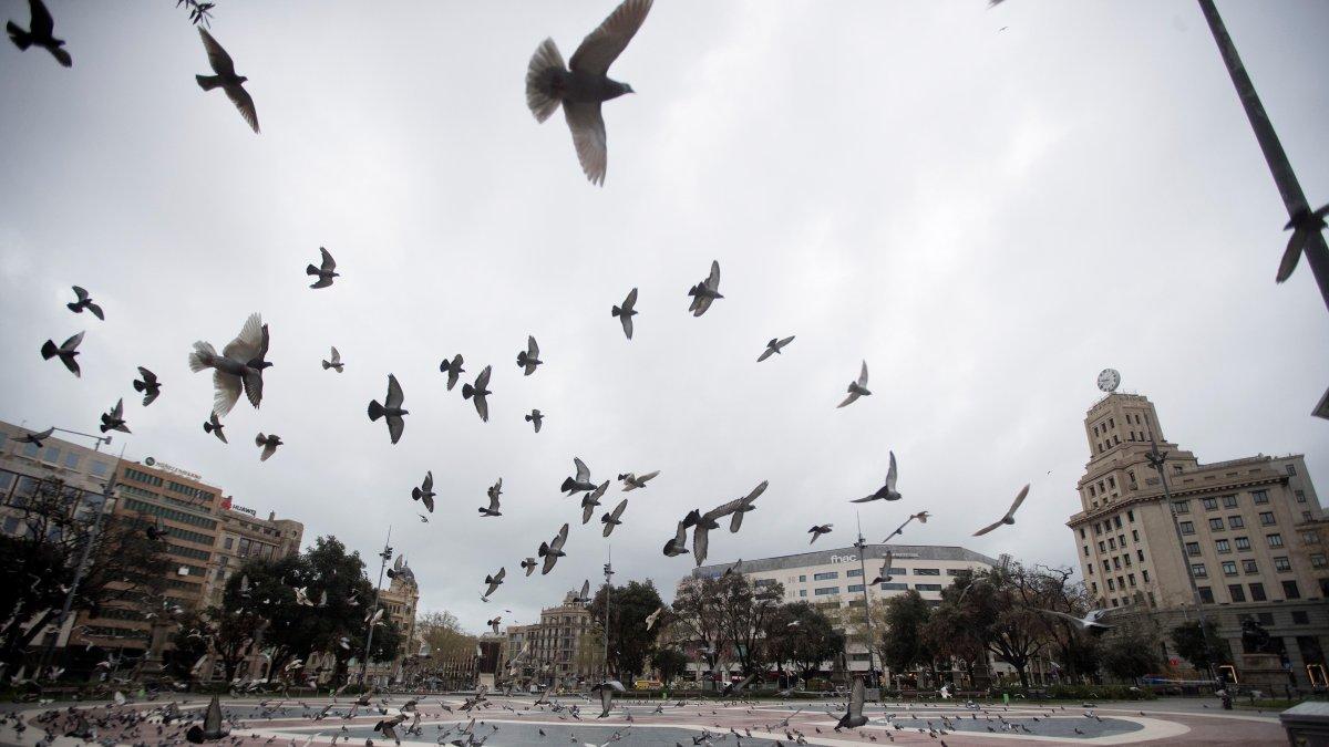 BARCELONA.Aspecto de la Plaza de Cataluña, que permanece cerrada al publico. Al igual que en el resto de España, se vive este lunes el primer día laboral de aplicación del decreto de alarma.