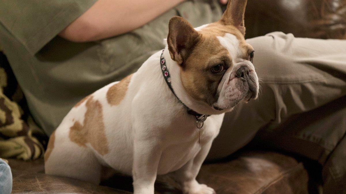 Beatrice se catapultó al estrellato desde la cuarta temporada de la serie.