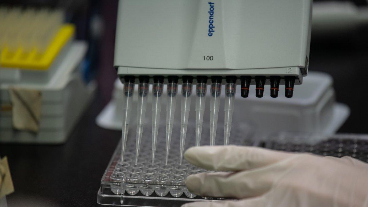 Un técnico de laboratorio trabajando en una prueba de anticuerpos neutralizantes  en un laboratorio de Nivel de Seguridad Biológica 3, en el Instituto Internacional de Vacunas de Seúl.