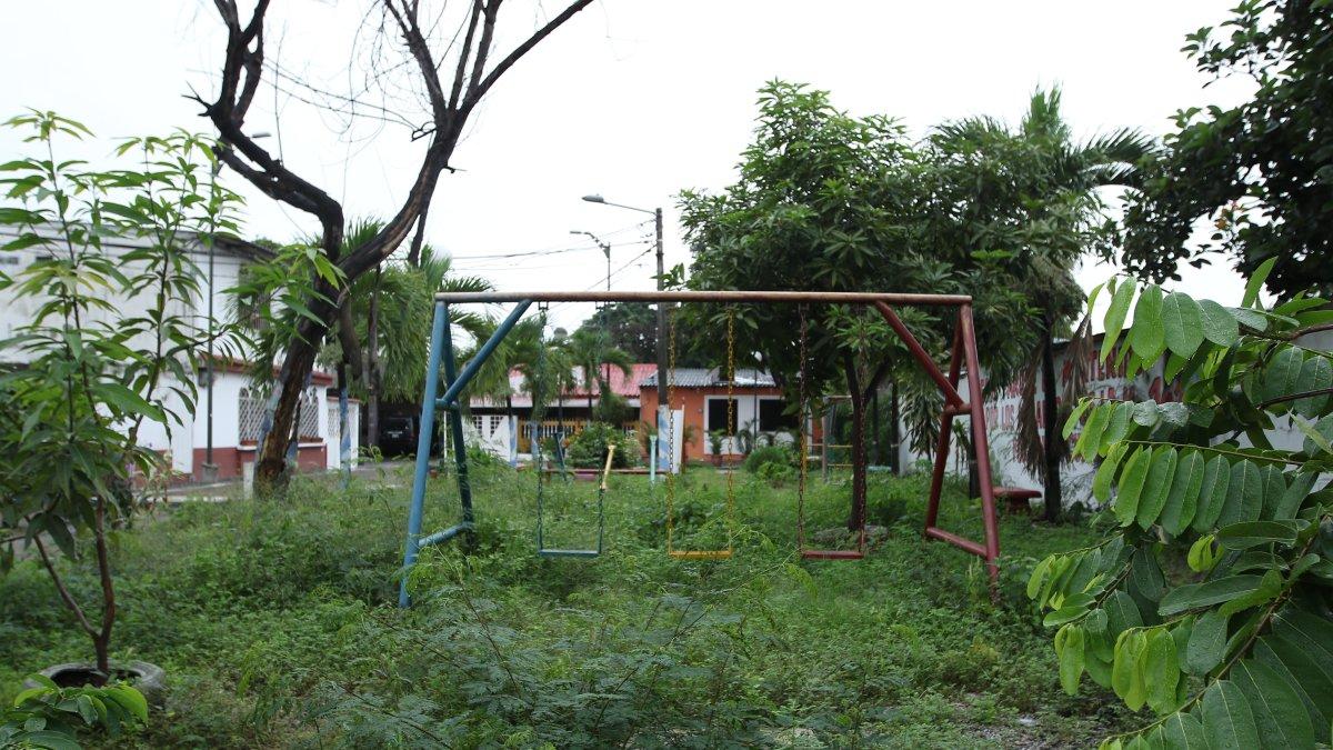 Hecho. En ese estado permanecen algunas vías y parques de la ciudad.

27  FEBRERO del 2020

GERARDO MENOSCAL

Agencia (ag-expreso)