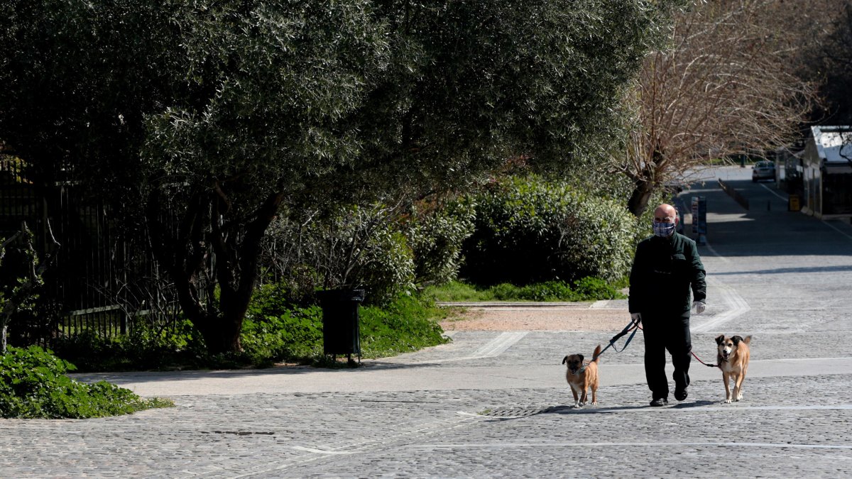 Las mascotas son en España como un salvoconducto, mientras en otros países aún pueden circular en horarios restringidos.