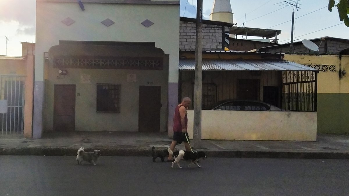 Algunas personas pasean a sus mascotas en horario prohibido.