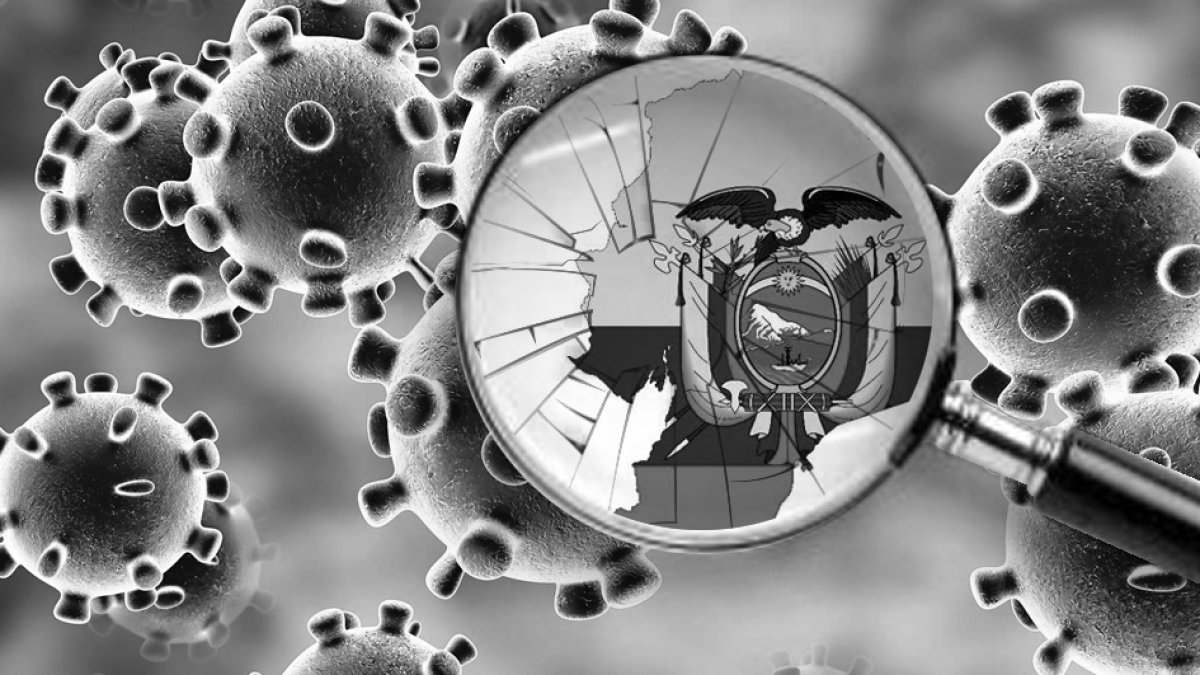 'El gobierno de Moreno tiene que tomar decisiones cruciales y no las tomará, o no completamente'..