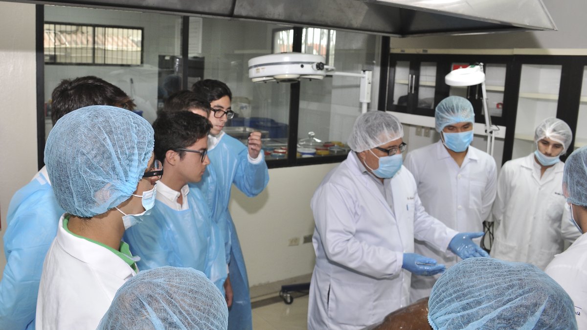 Los estudiantes de Medicina y de Psicología de la UEES han sido preparados para esta emergencia.