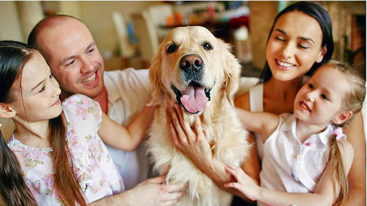 Iniciativas. Aumente las muestras de cariño y juegos donde participen todos.