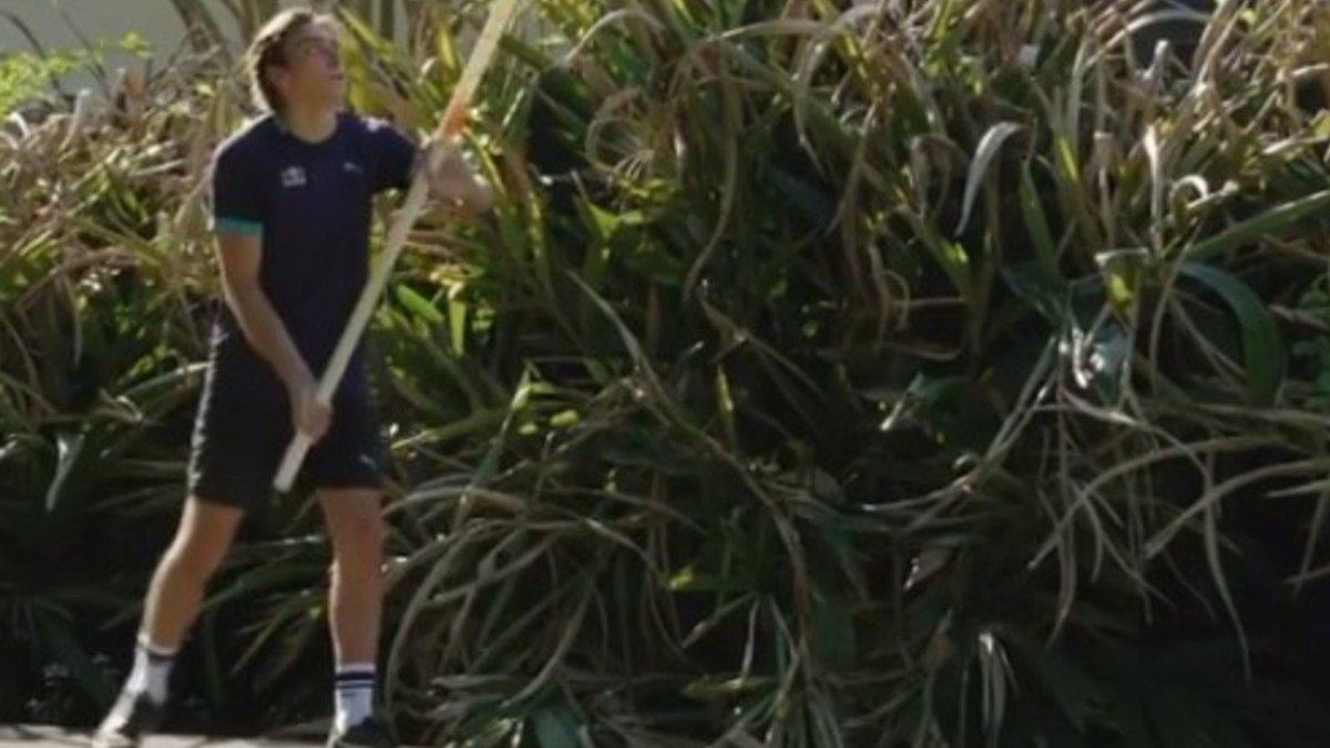El saltador de garrocha improvisó en el patio de su casa una pista de entrenamiento