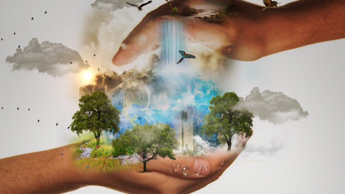 Los esfuerzos para controlar la pandemia de coronavirus han reducido la actividad económica y conducido a mejoras localizadas en la calidad del aire.