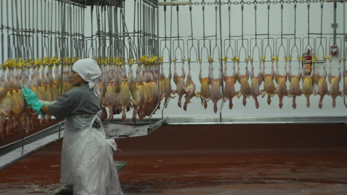 Algunas empresas del sector trabajan a medias por muchas razones derivadas de la crisis.