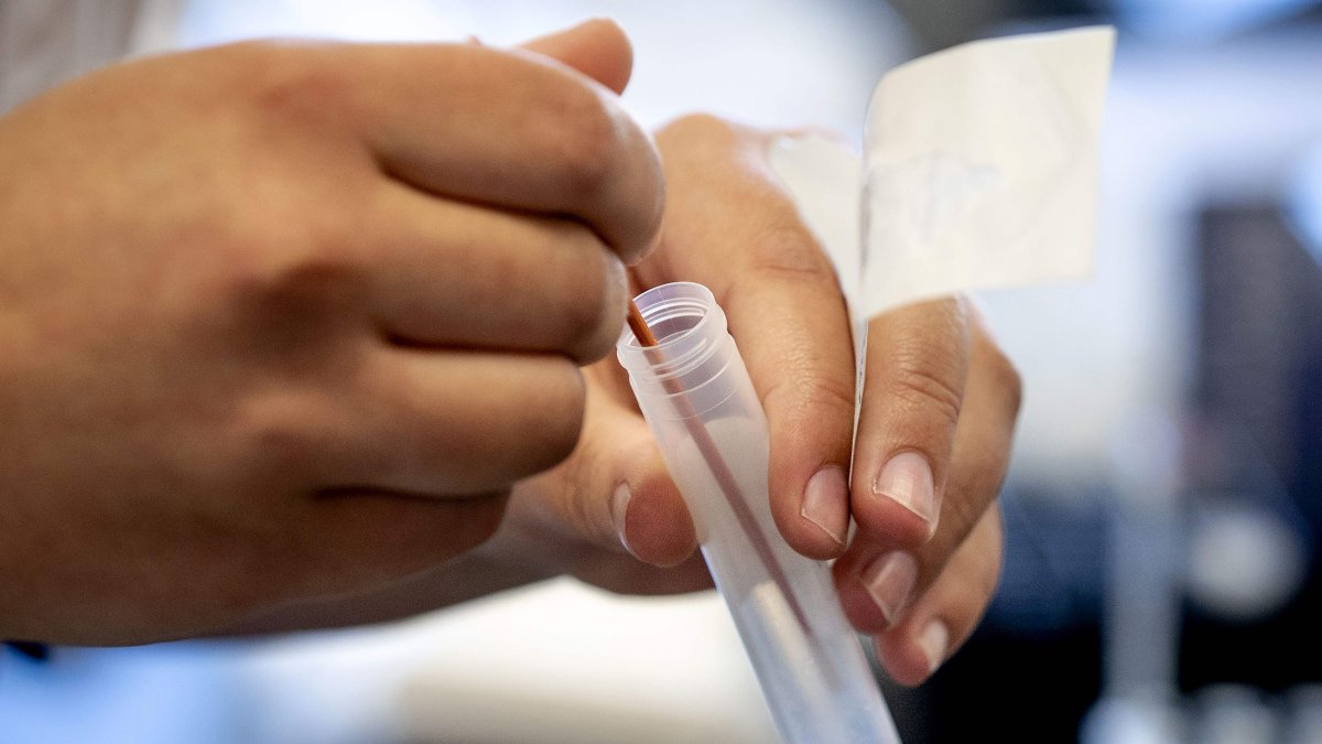 Equipos de prueba para enfermedades infecciosas como el nuevo coronavirus (Covid-19) en el laboratorio del hospital Bravis en Roosendaal, Países Bajos, en medio del brote de COVID-19 (nuevo coronavirus). (nuevo coronavirus).