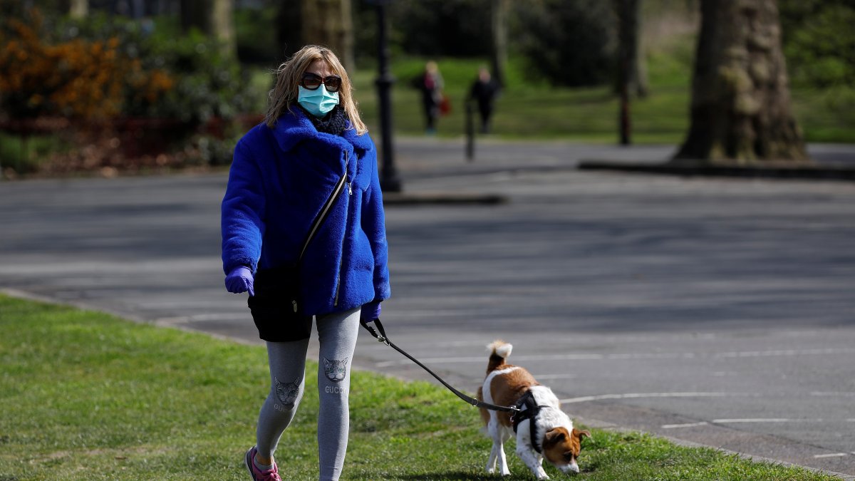  Varados en casa, los británicos han buscado consuelo en su pasión tradicional por los animales