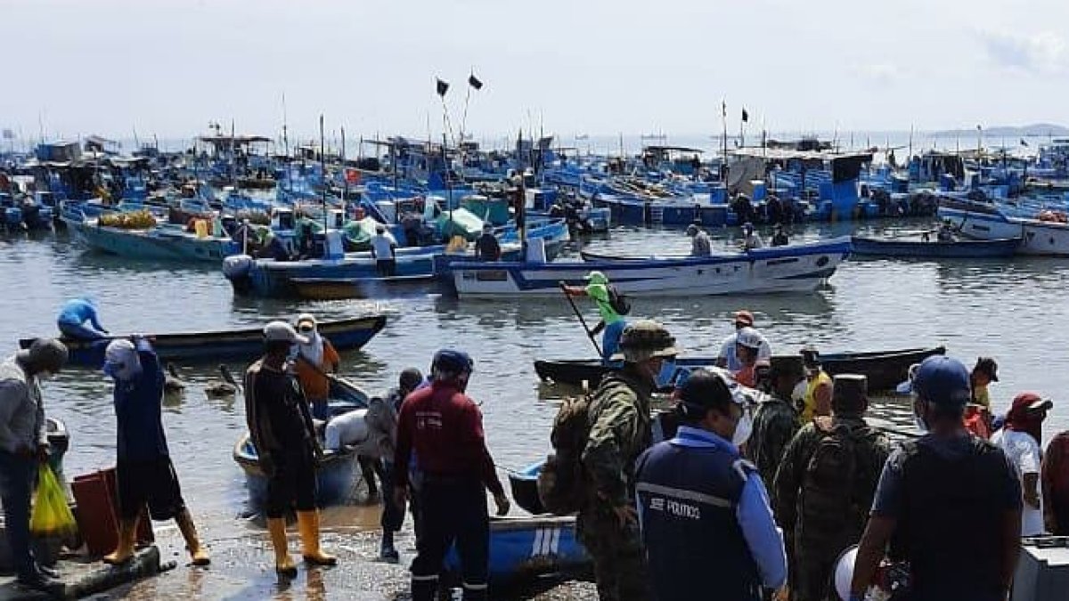 Santa Rosa. El Gobierno busca poner reglas más estrictas en los diferentes procesos productivos. .