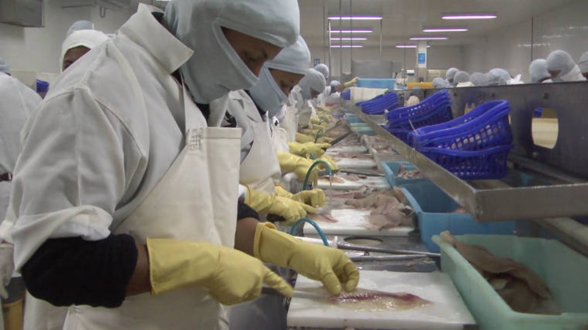 Los negocios podrían tener la opción de reducir la jornada y los sueldos, hasta por dos años.