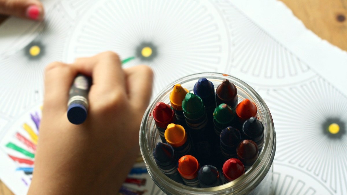 Investiga las causas por sus bajas notas.