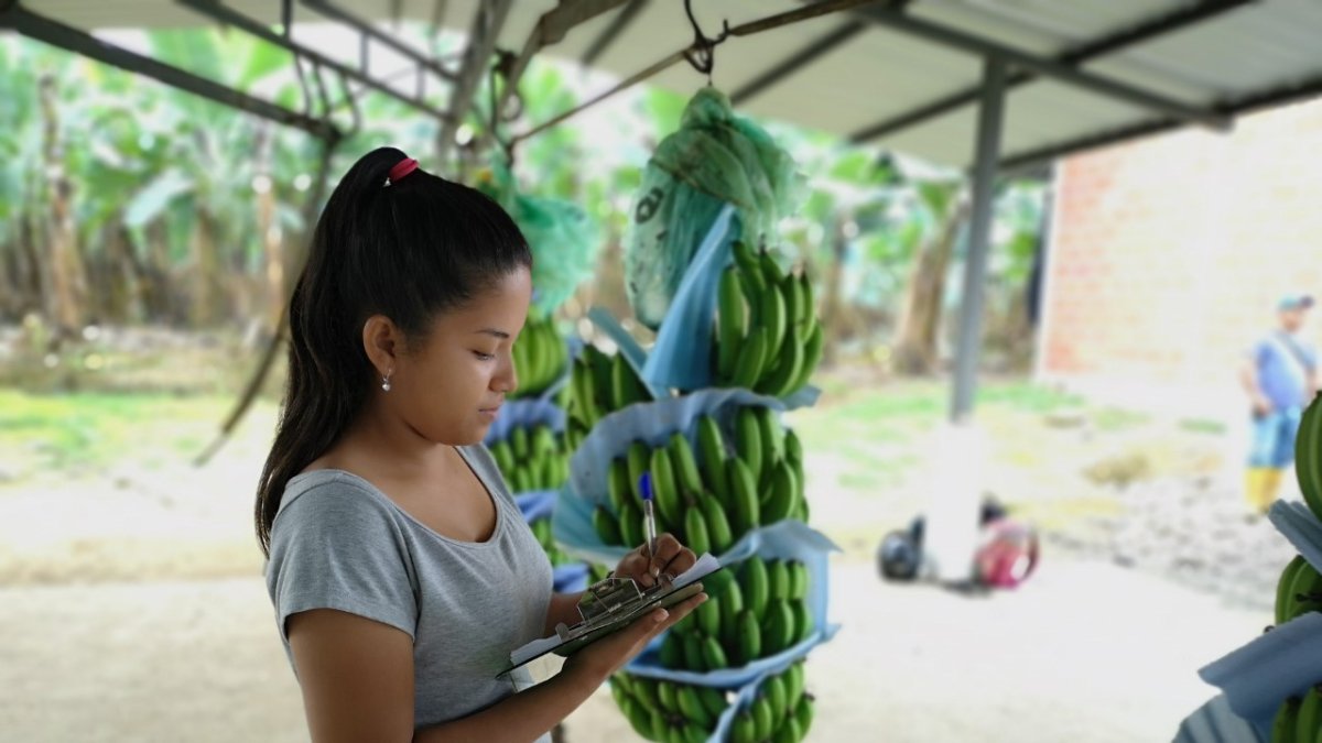 En los dos primeros meses de 2020 el banano despuntó.