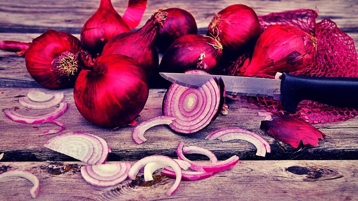 Diario de una madre en cuarentena. Por: Cecilia Tecch.i