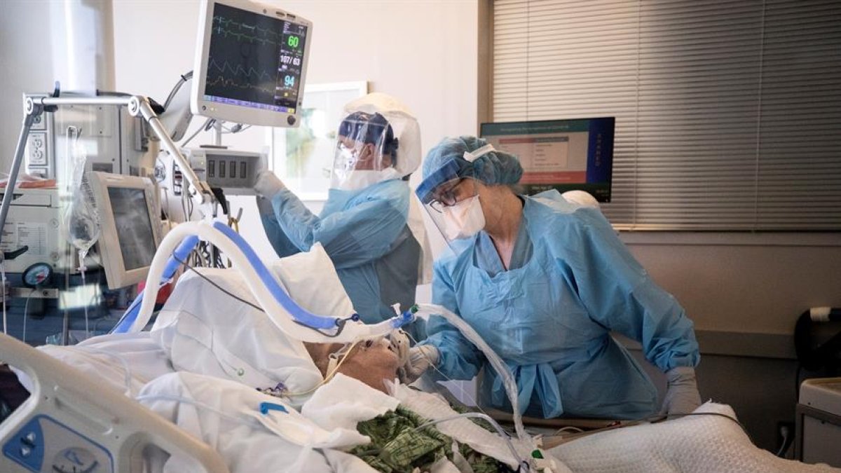 El método de la inhalación de gases fue planteado el lunes por Alexánder Chuchalin.